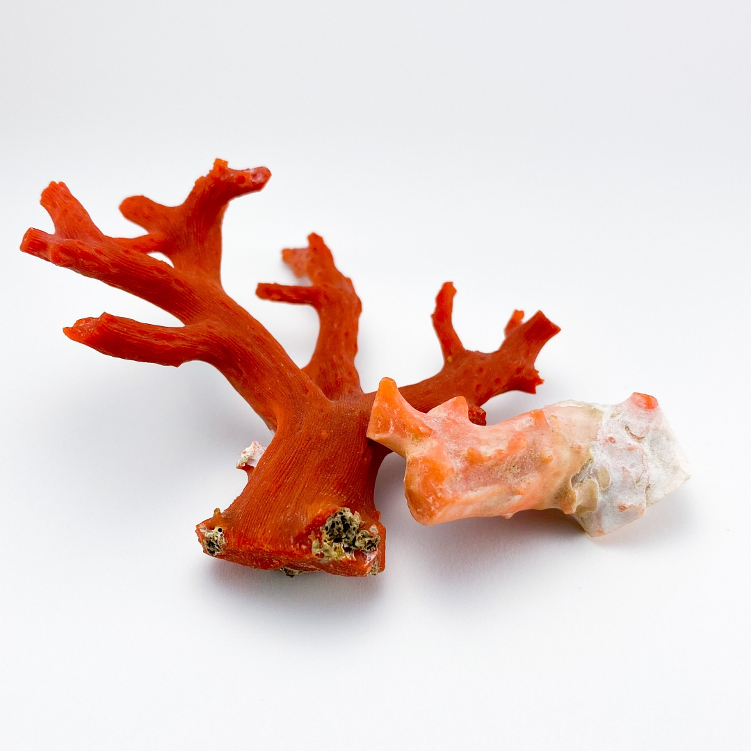 希少な国産珊瑚を使ったオリジナルジュエリーについて 〈その２〉 | ターコイズ・メンズシルバーアクセサリー通販 SKYSTONE TRADING